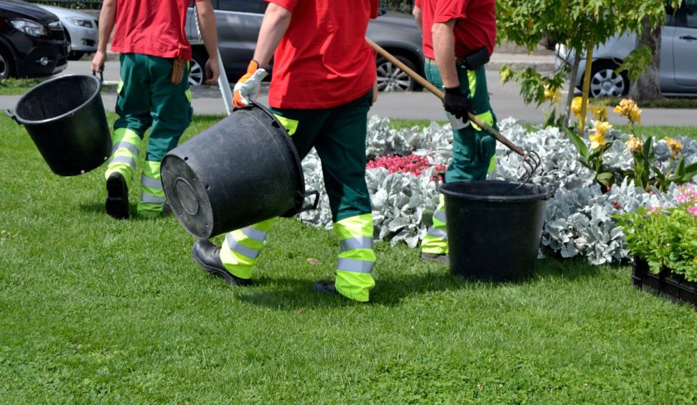 entretien d'espaces verts près de Pontoise 